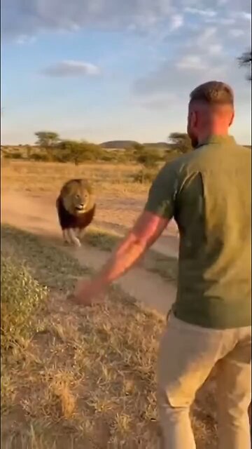 Love All Life Always #451 - The Bond Of A Rescued Wild Animal And The Human Rescuer Is Forever 💯💓