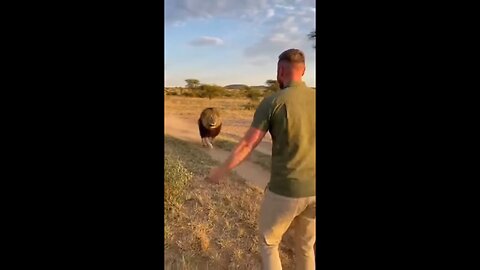 Love All Life Always #451 - The Bond Of A Rescued Wild Animal And The Human Rescuer Is Forever 💯💓