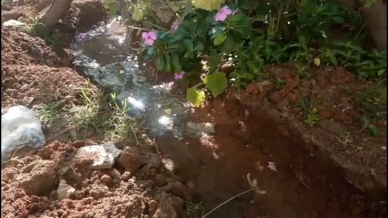 The Best Mini Dam #Trending #Podcasts #Music