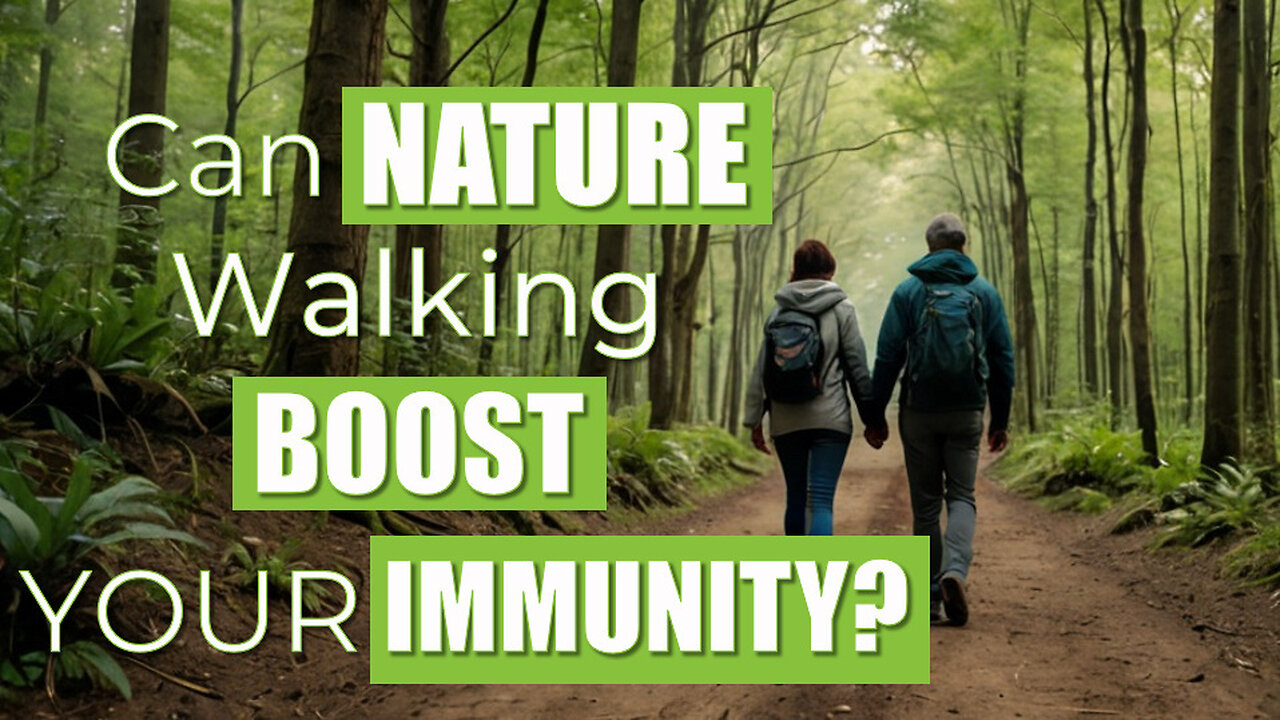 Forest Walking vs. Urban Walking: Boosting Immunity Naturally | Naturopathic Insights