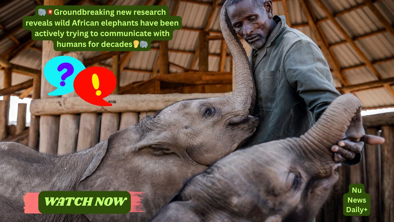 🧠🗣️🐘 Elephants Have Been Trying to Talk to Us for Years. Nu News Daily+