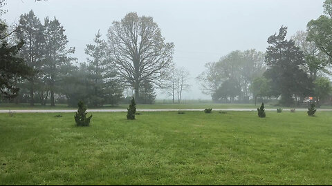 Tornado or Strong Wind?