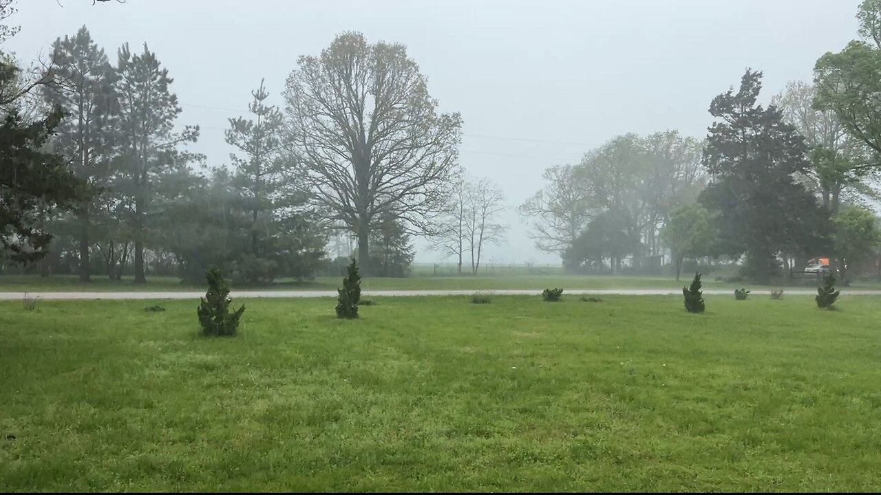 Tornado or Strong Wind?
