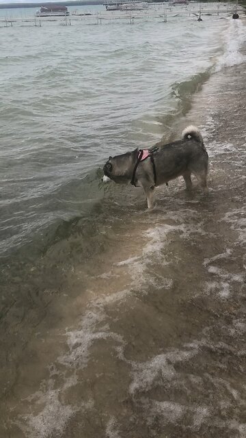 Saturday May 24, Taste and see that the Lord is good