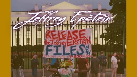 The Epstein Files 1