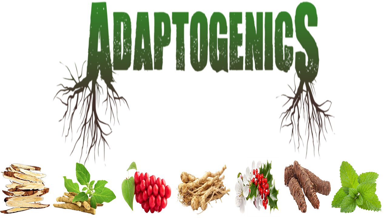 Adaptogenics Herbal Review