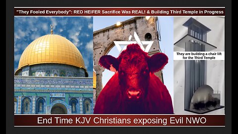 "They Fooled Everybody": RED HEIFER Sacrifice Was REAL! & Building Third Temple in Progress