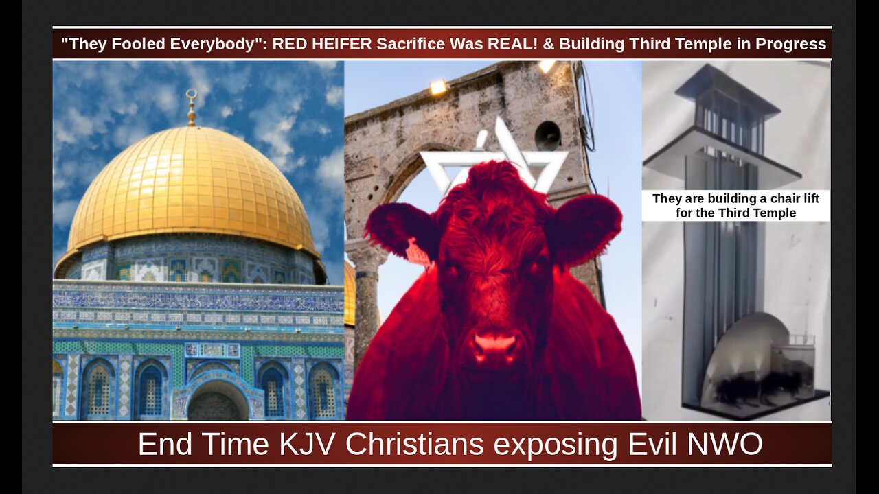 "They Fooled Everybody": RED HEIFER Sacrifice Was REAL! & Building Third Temple in Progress