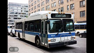 Gillig Downtown Citybus Grok Ai