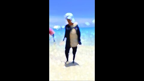 𝙲𝚑𝚊𝚗𝚐𝚞 𝙸𝚜𝚕𝚊𝚗𝚍, 𝚉𝚊𝚗𝚣𝚒𝚋𝚊𝚛