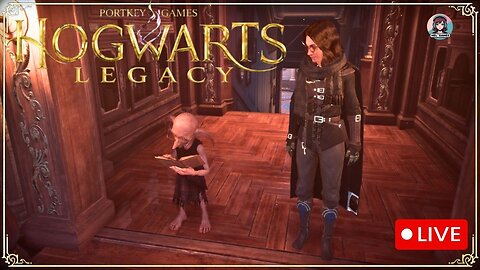 Hogwarts is my happy place!