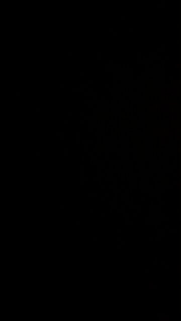 I fully support ICE, let’s stop this invasion!