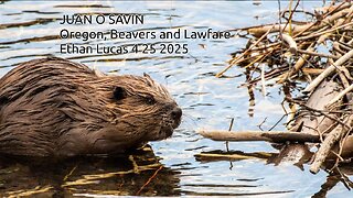 JUAN O SAVIN- Oregon, Beavers and Lawfare- Ethan Lucas 4 25 2025