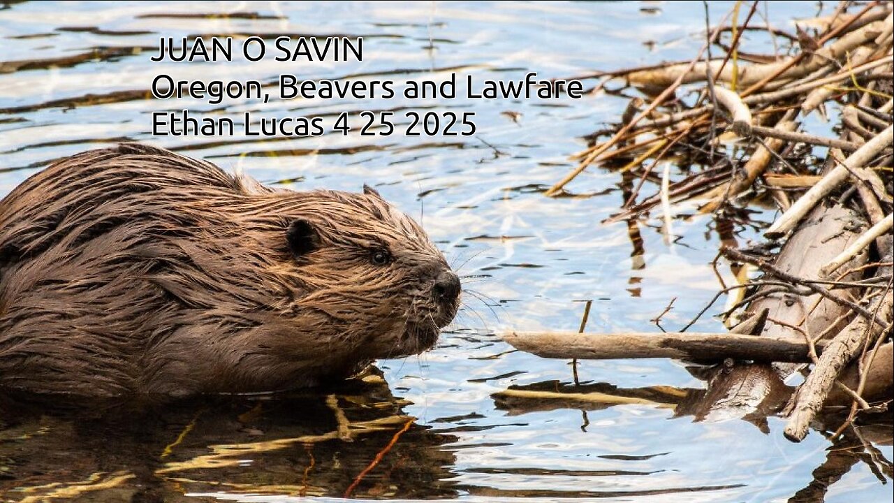 JUAN O SAVIN- Oregon, Beavers and Lawfare- Ethan Lucas 4 25 2025