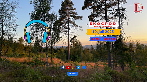 Skogpod 10. juli 2025