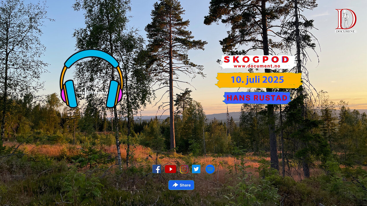 Skogpod 10. juli 2025