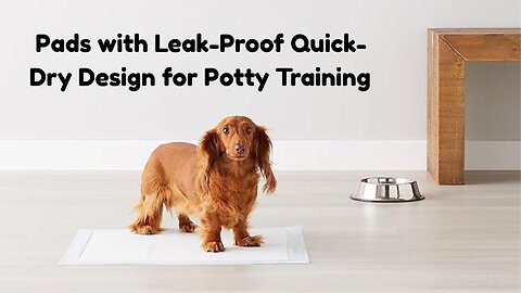 Amazon Basics Dog Pee Pads Review 🐶 | Leak-Proof & Quick-Dry for Potty Training!