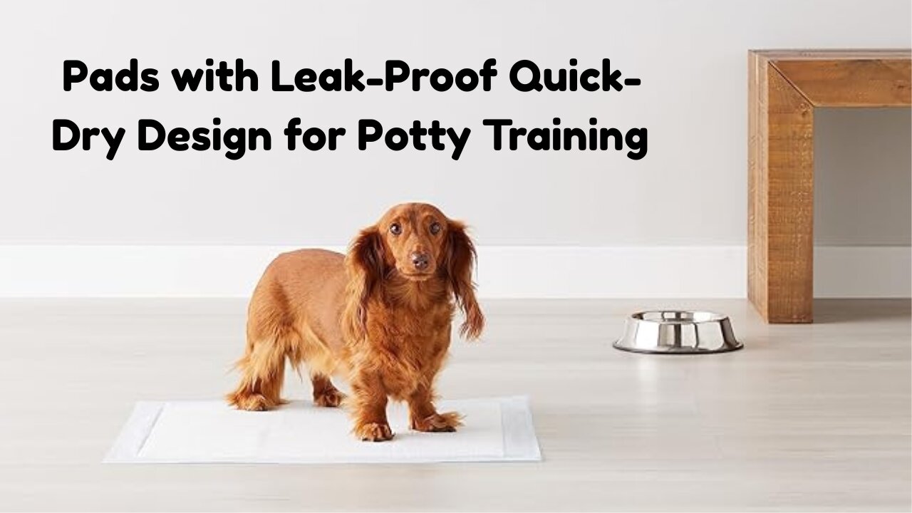 Amazon Basics Dog Pee Pads Review 🐶 | Leak-Proof & Quick-Dry for Potty Training!
