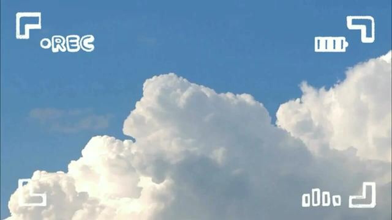 Easy Homemade Extracts Vanilla, Almond and Lemon Balm