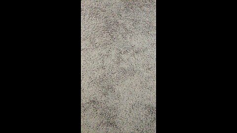 Test2