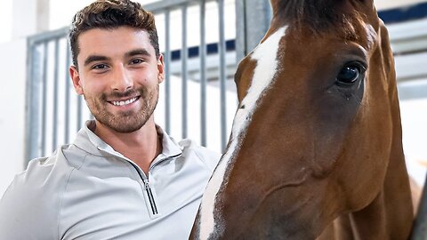 Why I Bought a $265,000 Horse
