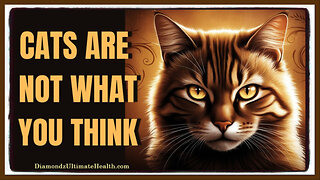 🐈 Edgar Cayce’s PROPHECY About Cats Is So Cool 🐾 Your Feline Companion May Be More Than Just a Pet