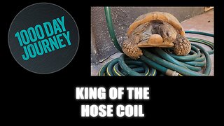1000 Day Journey 0720 King of the Hose Coil