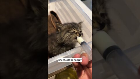 The man heard a beep under the car and was shocked when he found it