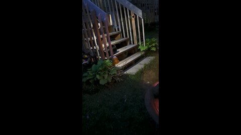 Stair light grooving to the music!