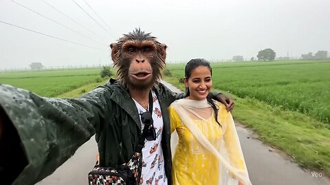 monkey vlogging in bodar