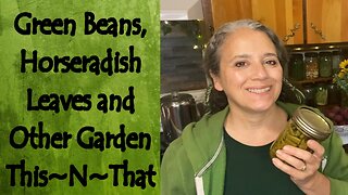 Green Bean Harvest, Horseradish Leaves, and Other Garden This~N~That