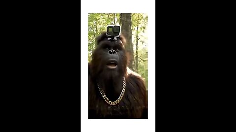 Bigfoot