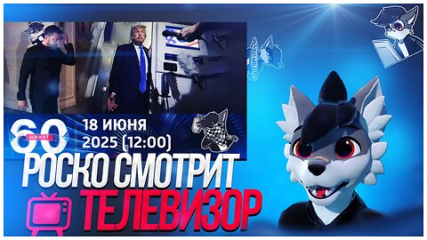 🐺 Роско смотрит - 60 минут от 18 июня 2025
