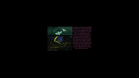 English Stories how the firefly got his light.