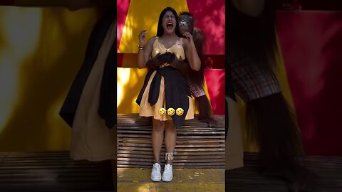 Animals Funny #funnyanimals #animals #pets #funny #shorts