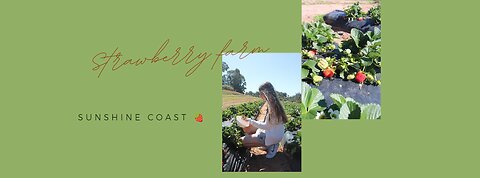 Strawberry Farm - Sunshine Coast 🍓