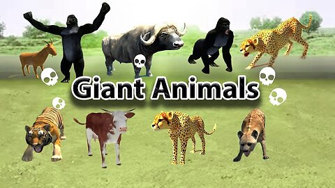 Giant Animals ||giant tiger vs giant Gorilla || Giant Buffalo vs hyena || Giant cow vs Goat