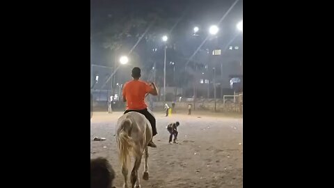 Horse Rider Afeef