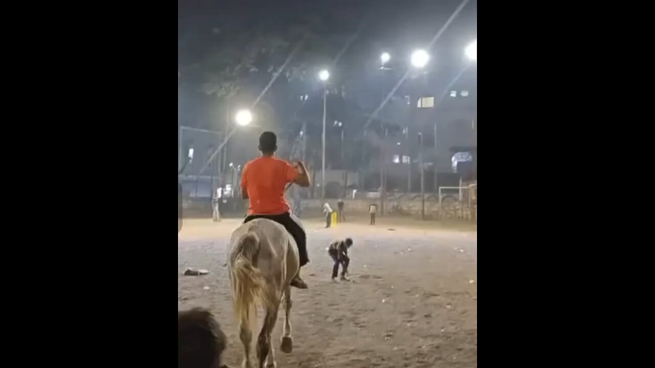 Horse Rider Afeef
