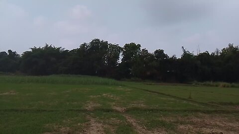 buety if nature
