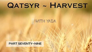 Spicier🌶️ Than A Matsah Ball🧆 Very...N👨‍🍳ice👌 Qatsyr Harvests Seventy~Nine 24 September 2025