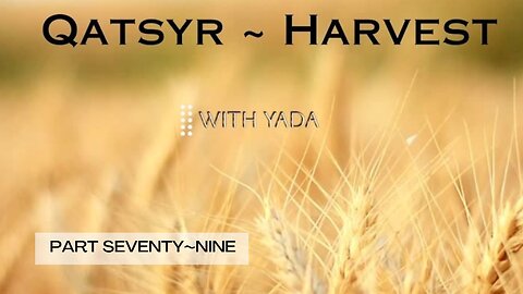 Spicier🌶️ Than A Matsah Ball🧆 Very...N👨‍🍳ice👌 Qatsyr Harvests Seventy~Nine 24 September 2025