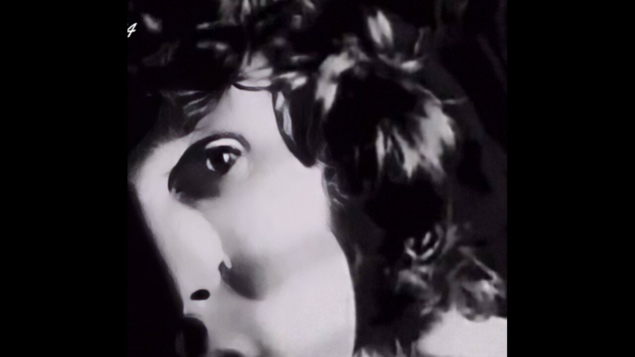 Reptiles In The Music Industry