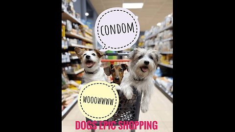 Dogs' Epic Shopping Cart Voyage: Funny Dogs Maymo & Penny