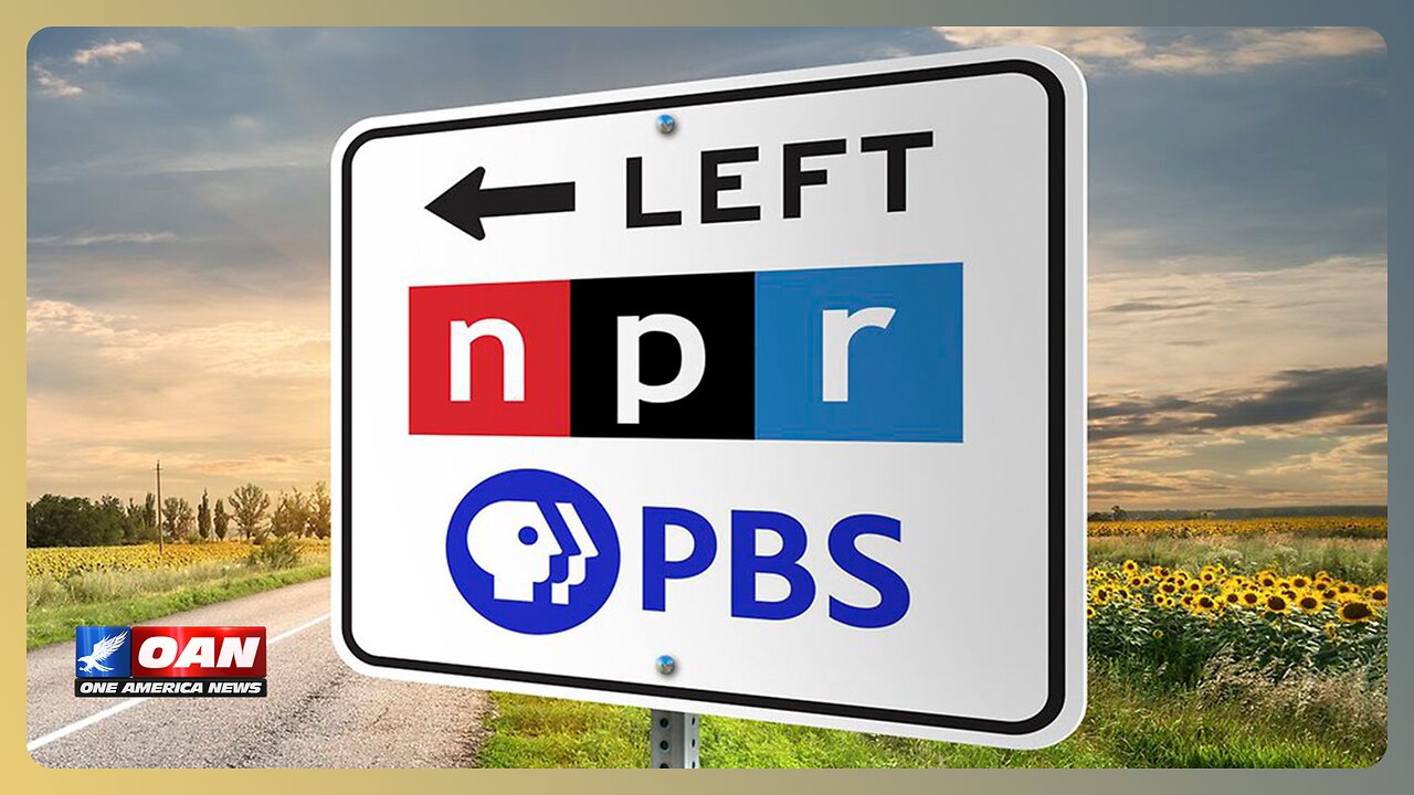 The NPR, PBS Grift Has Ripped Us Off for Too Long | THE REAL STORY 🇺🇸