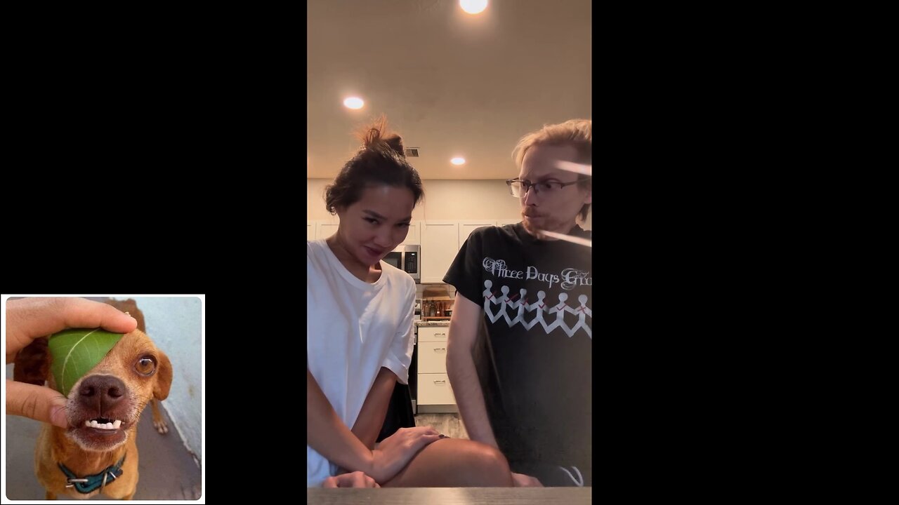 Funny videos compilation 46