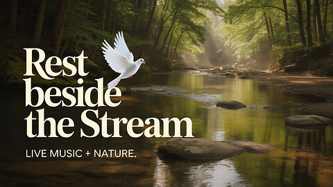Rest Beside the Stream: Live Music + Nature for the Soul