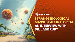 BrightLearn - Strange Biological Masses Fall in Florida, an interview with Dr. Jane Ruby