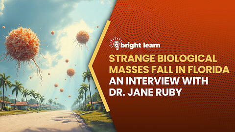 BrightLearn - Strange Biological Masses Fall in Florida, an interview with Dr. Jane Ruby