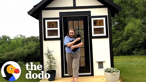 Cat Mom Builds a Custom Cabin for Her 7 Rescue Cats | The Dodo